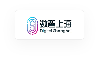上海数字信息化委员会