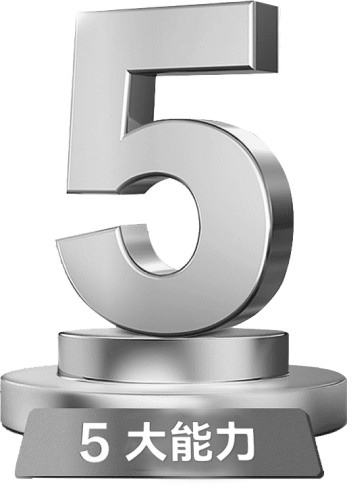 5大能力